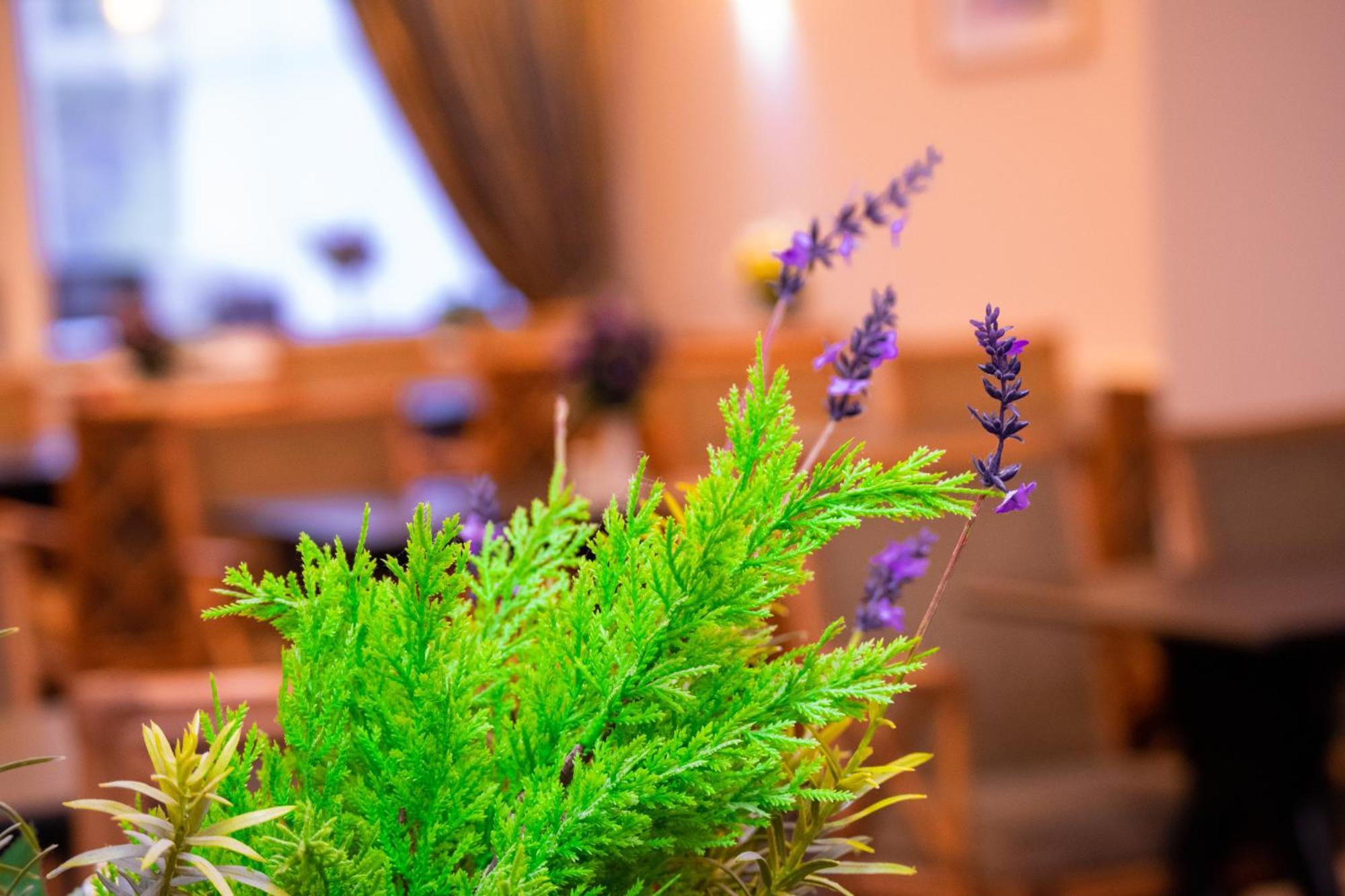 Royal Square Hotel - Nec & Birmingham Airport Marston Green Buitenkant foto